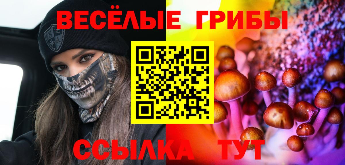 Галлюциногенные грибы прущие грибы Строитель
